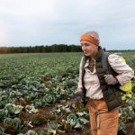 Гербицидная обработка: как справиться с сорняками на вашем участке